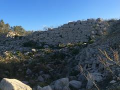 Borg in-Nadur ruins