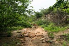 side trail descending towards Bhardwaj Lake