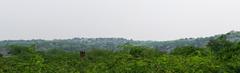 landscape and skyline from the wide walking track