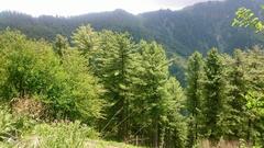 natural landscape of Northern Areas of Pakistan