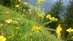 Natural landscape of Northern Areas of Pakistan