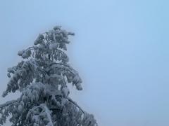 Evening after snowfall in northern Pakistan