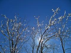 Day after snowfall in northern Pakistan with clear sky