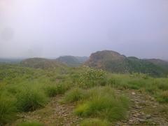 Beautiful green mountain in northern Pakistan