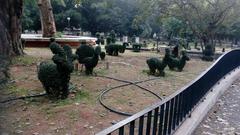 Lal Bagh Botanical Garden pathway with lush greenery