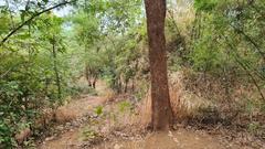 quarry route scenic view