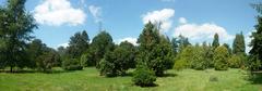 panoramic view of the Arboretum de Chèvreloup