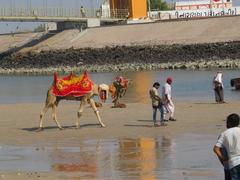 Photos from Gujarat Vivekananda 2015