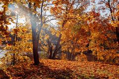 Autumn landscape in Vanhankaupunginlahti, Helsinki, Finland with colorful leaves and trees