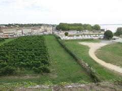 Town and vineyard of Blaye seen from the citadel