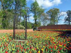 view of Atlanta Botanical Garden with lush greenery and vibrant flowers