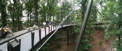 Canopy Walk in Atlanta Botanical Garden