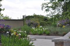 Atlanta Botanical Gardens panoramic view