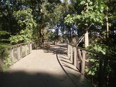 Atlanta Canopy Walk at Atlanta Botanical Garden