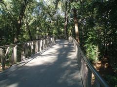 Atlanta Botanical Garden canopy walk