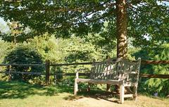 bench in a shade