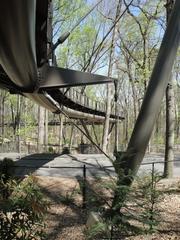 Canopy Walk at Atlanta Botanical Garden