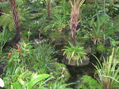 indoor view of Atlanta Botanical Garden