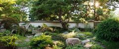 Japanese Garden with lush greenery and tranquil pond