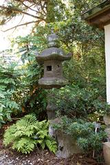 Japanese Lantern in a traditional garden