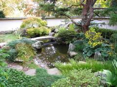 Japanese garden in Atlanta Botanical Garden