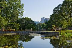 aquatic plants pond with various greenery