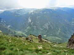 River and meadow in Rila Valley