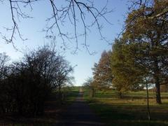 Ascent to Parliament Hill in Hampstead Heath