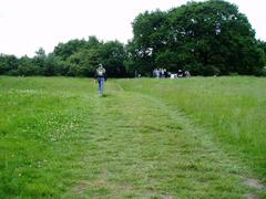 People gathering on Parliament Hill Fields