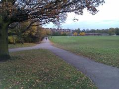 Junction of paths on Parliament Hill Fields