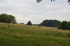 View of Parliament Hill in London