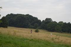 Parliament Hill with people walking and scenic view