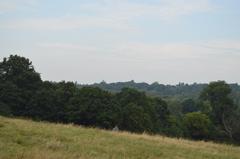 Parliament Hill in the daytime