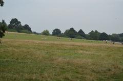 Parliament Hill in London