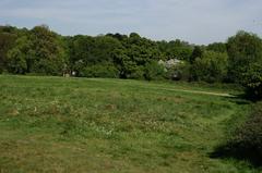 Parliament Hill in London