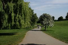 Parliament Hill in Hampstead Heath, London, England