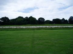 View of Parliament Hill Fields with lush green grass and trees under a cloudy sky