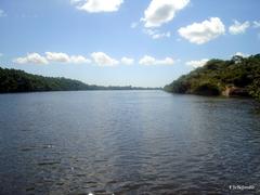 Panoramic view of Barreirinha, MA, Brazil with houses and greenery