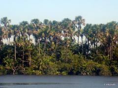 Panoramic view of Barreirinha town in Maranhão, Brazil