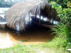 Barreirinha - MA - Brazil landscape