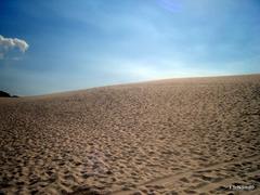 A panoramic view of Barreirinha in Maranhão, Brazil