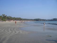 Palolem Beach in Goa during sunset with palm trees and rocky shoreline