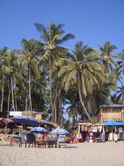 Palolem Beach at sunset with reflective waters and a serene ambiance