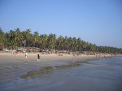 sunset at Palolem beach with palm trees and calm water