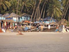 Palolem Beach at sunset with silhouetted palm trees and colorful sky