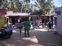 Scenic view of Palolem Beach with palm trees and rocky shoreline