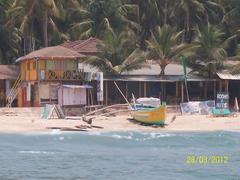 Scenic view of Palolem Beach with clear blue water and palm trees