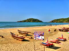 Palolem Beach panoramic view with palm trees and clear blue water