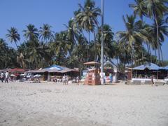 scenic view of Palolem Beach with palm trees and hills in the background