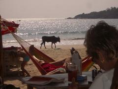 Palolem Beach in Goa, India with scattered boats and lush palm trees